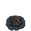 Campfire Clone