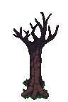 Heart Oak