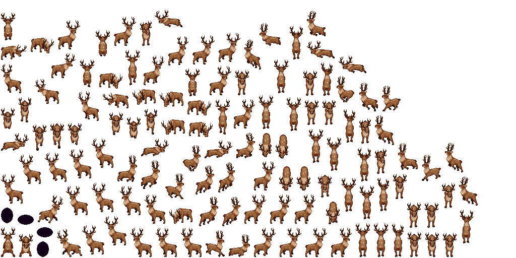 Deer