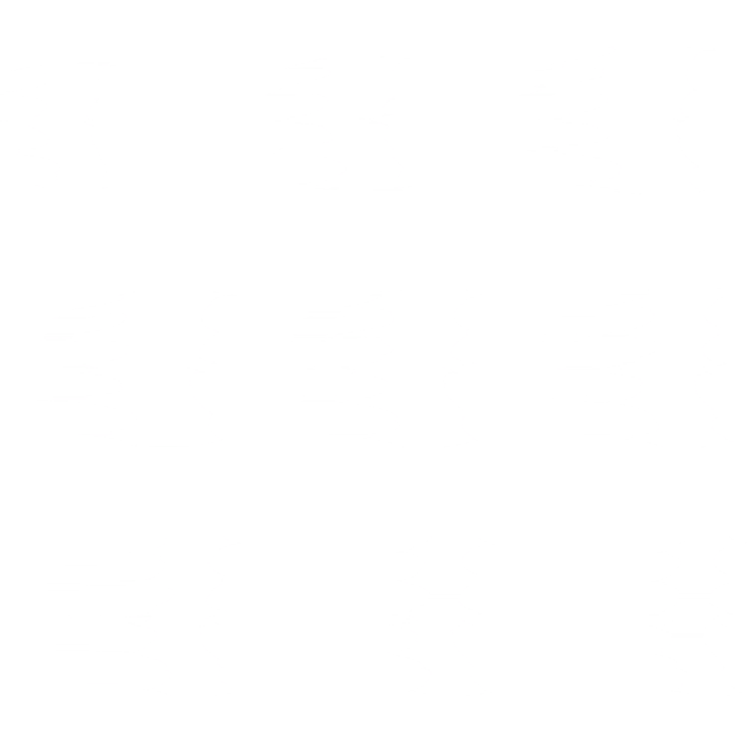 Bash